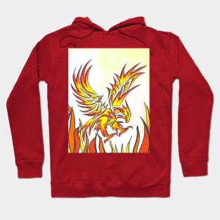 From the sky into the fire Hoodie